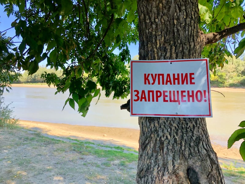 Купание в реке Протока временно запрещено